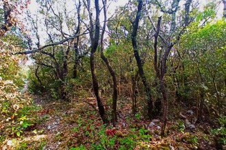 achat terrain assignan 34360