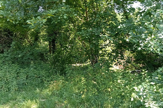 achat terrain attichy 60350