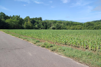 achat terrain auberives-en-royans 38680