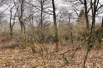 achat terrain aubigny-sur-nere 18700