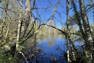 achat terrain authon-du-perche 28330