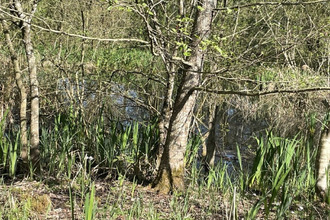 achat terrain authon-du-perche 28330