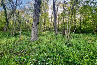 achat terrain availles-thouarsais 79600