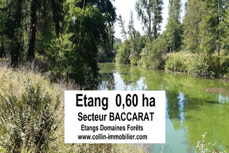 achat terrain baccarat 54120
