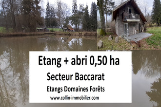 achat terrain baccarat 54120