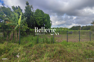 achat terrain baie-mahault 97122