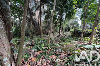 achat terrain baie-mahault 97122