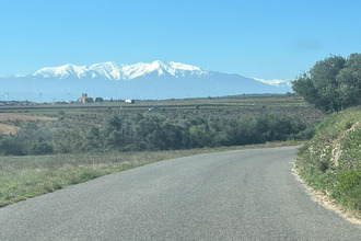 achat terrain baixas 66390