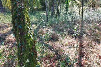 achat terrain baladou 46600