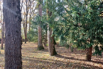 achat terrain baladou 46600