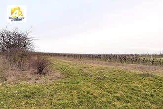 achat terrain balbronn 67310