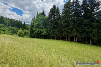 achat terrain ban-de-laveline 88520