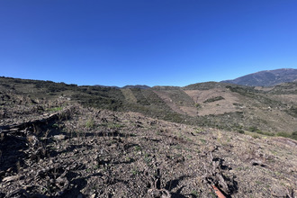 achat terrain banyuls-sur-mer 66650