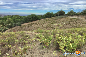 achat terrain banyuls-sur-mer 66650