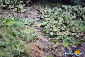 achat terrain banyuls-sur-mer 66650