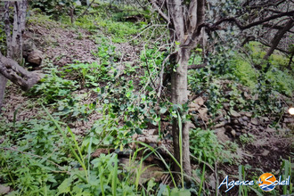 achat terrain banyuls-sur-mer 66650