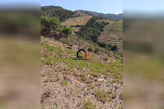achat terrain banyuls-sur-mer 66650
