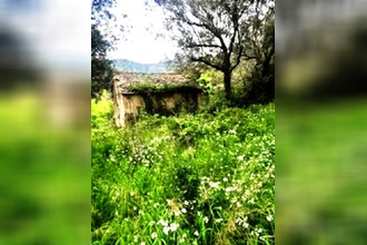 achat terrain barbaggio 20253