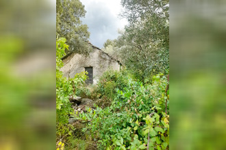 achat terrain barbaggio 20253