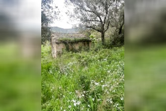 achat terrain barbaggio 20253