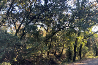 achat terrain bargemon 83830