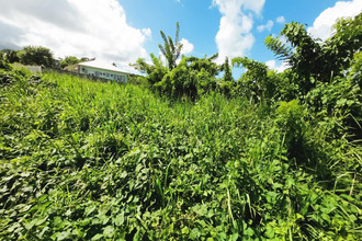 achat terrain basse-pointe 97218