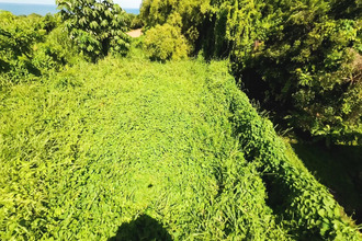 achat terrain basse-pointe 97218