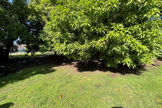 achat terrain basse-terre 97100