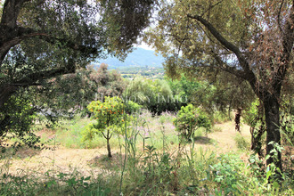 achat terrain bastelicaccia 20129