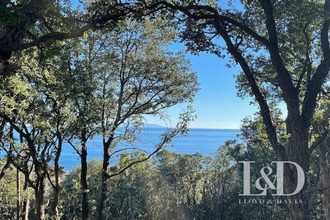 achat terrain bastia 20200