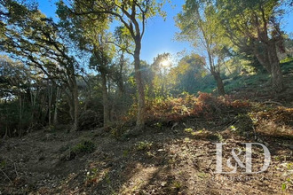 achat terrain bastia 20200