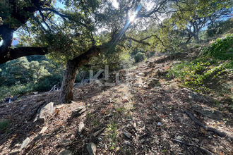 achat terrain bastia 20200