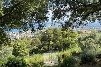 achat terrain bastia 20200