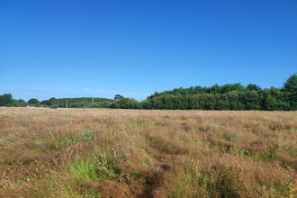 achat terrain bazas 33430