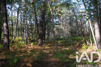 achat terrain bazas 33430