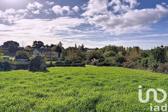 achat terrain beaulieu-sur-layon 49750