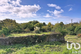 achat terrain beaulieu-sur-layon 49750