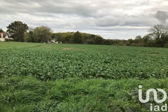 achat terrain beaulieu-sur-loire 45630