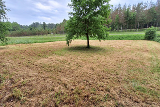 achat terrain beauronne 24400