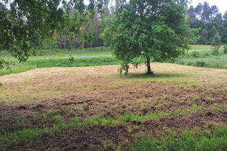 achat terrain beauronne 24400