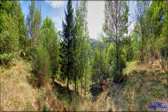 achat terrain beauvene 07190