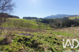 achat terrain beauzac 43590