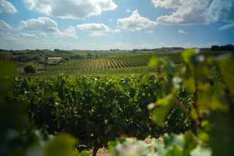 achat terrain belveze-du-razes 11240