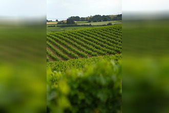 achat terrain belveze-du-razes 11240