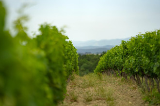 achat terrain belveze-du-razes 11240