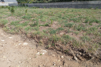 achat terrain belz 56550