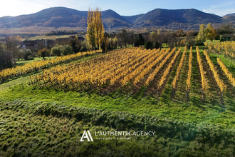 achat terrain bernardswiller 67210