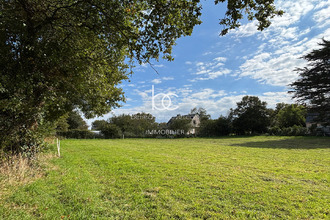 achat terrain berric 56230
