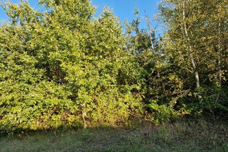 achat terrain billy 41130