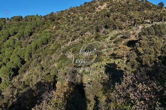 achat terrain bormes-les-mimosas 83230